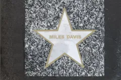 stella_miles1