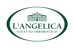 L’Angelica